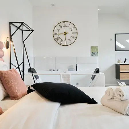 Ng Prestige - Lille I Centre I College - Balneo - Netflix - Wifi Roubaix