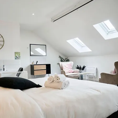Ng Suitehome Balnéo Collège * Roubaix