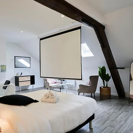 Ng Prestige - Lille I Centre I College - Balneo - Netflix - Wifi Roubaix