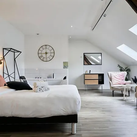 Ng Prestige - Lille I Centre I College - Balneo - Netflix - Wifi Apartment Roubaix