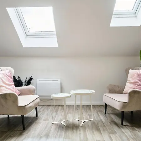 Apartment Ng Prestige - Lille I Centre I College - Balneo - Netflix - Wifi Roubaix