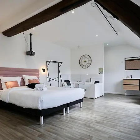 Ng Prestige - Lille I Centre I College - Balneo - Netflix - Wifi Apartment *